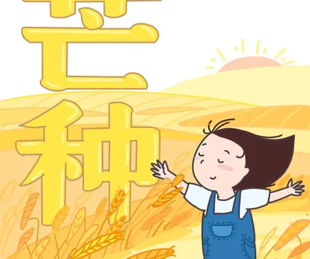 今年芒种不一般，老话说：“芒种节气有三怕”，到底怕什么？
